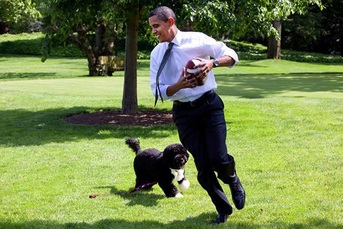 Чем займется Обама на пенсии? Чем займется Обама на пенсии?