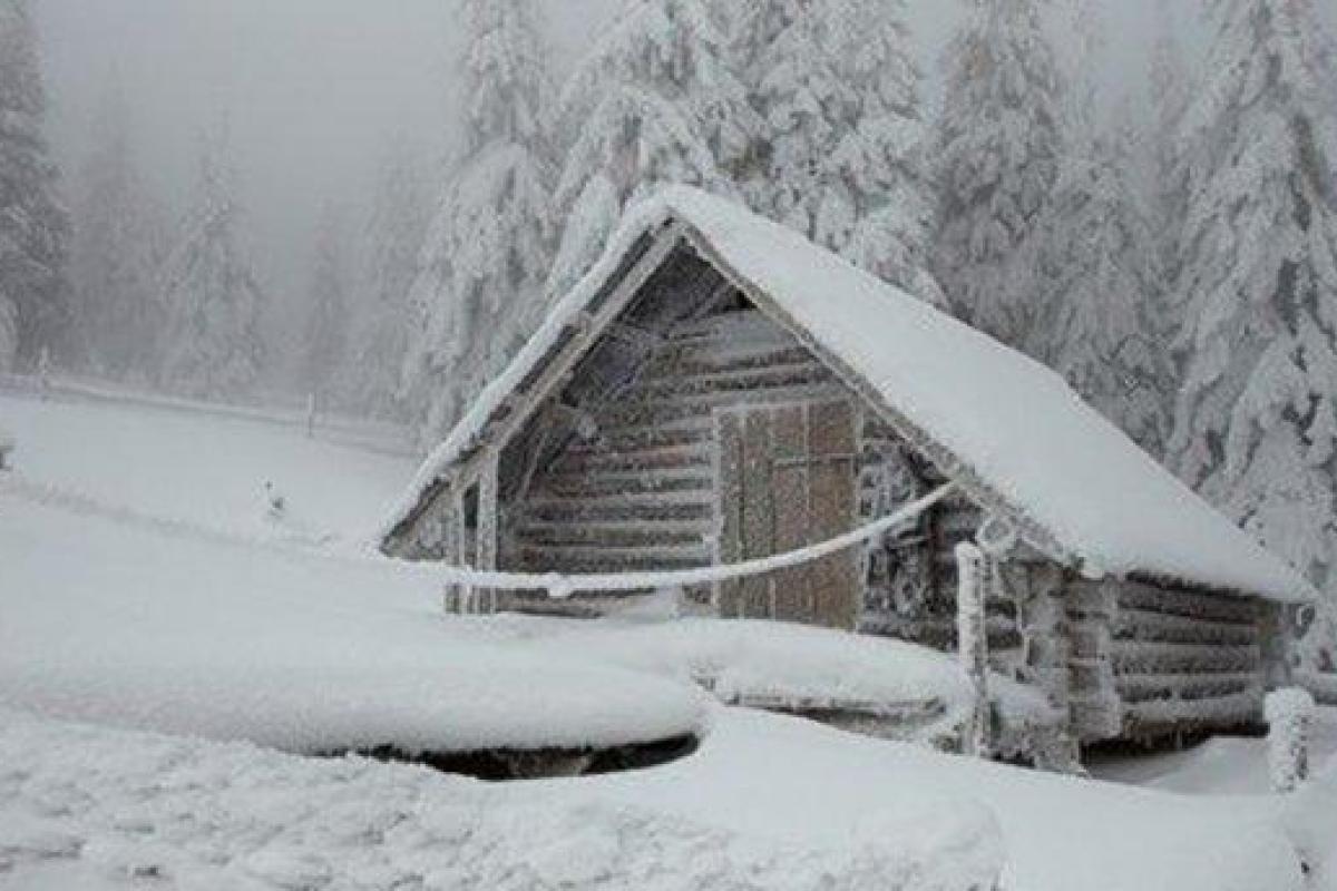 Во Львовской области насмерть замерзла психически больная женщина Во Львовской области насмерть замерзла психически больная женщина