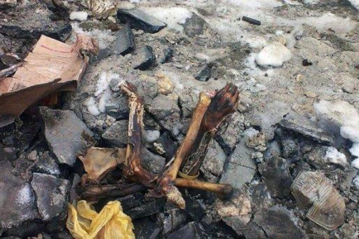 В Одессе под Потемкинской лестницей коммунальщики нашли человеческий скелет В Одессе под Потемкинской лестницей коммунальщики нашли человеческий скелет