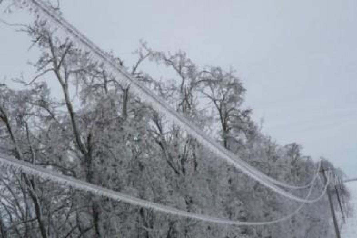 В Одесской области из-за стихии обесточен 41 населенный пункт В Одесской области из-за стихии обесточен 41 населенный пункт