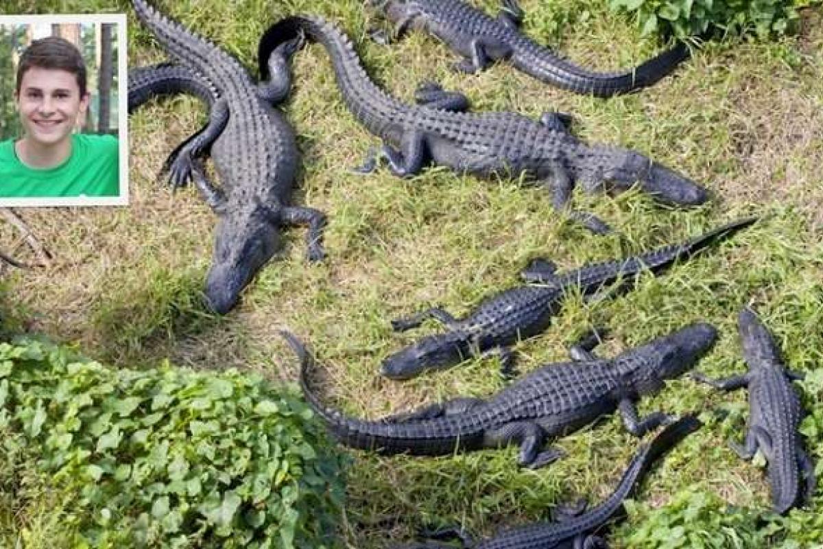 Сына Виталия Кличко покусал аллигатор Сына Виталия Кличко покусал аллигатор