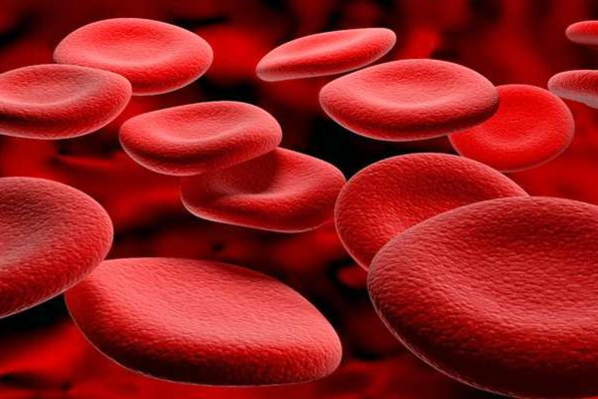 Ученые-биологи выяснили причину сверхвысокой агрессивности рака кожи