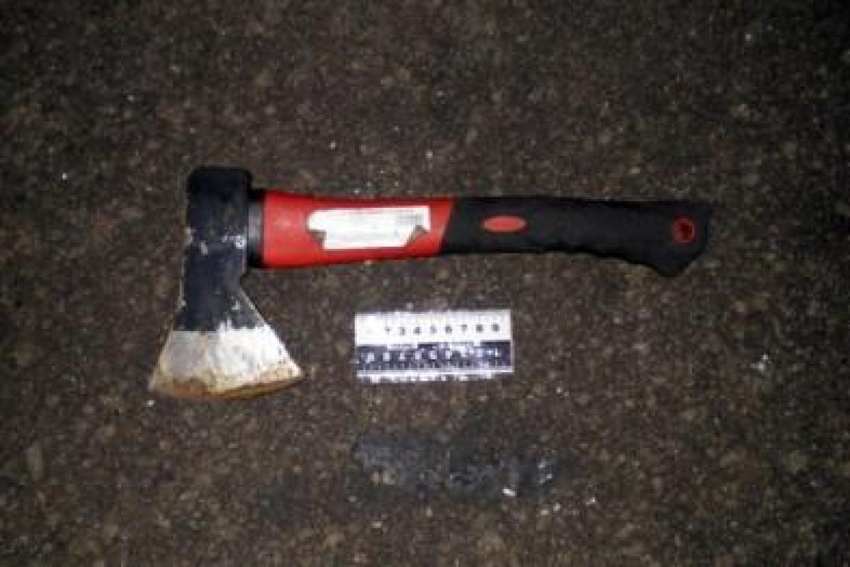 В Донецкой области мужчина напал с топором на сотрудника полиции: преступника поймали В Донецкой области мужчина напал с топором на сотрудника полиции: преступника поймали