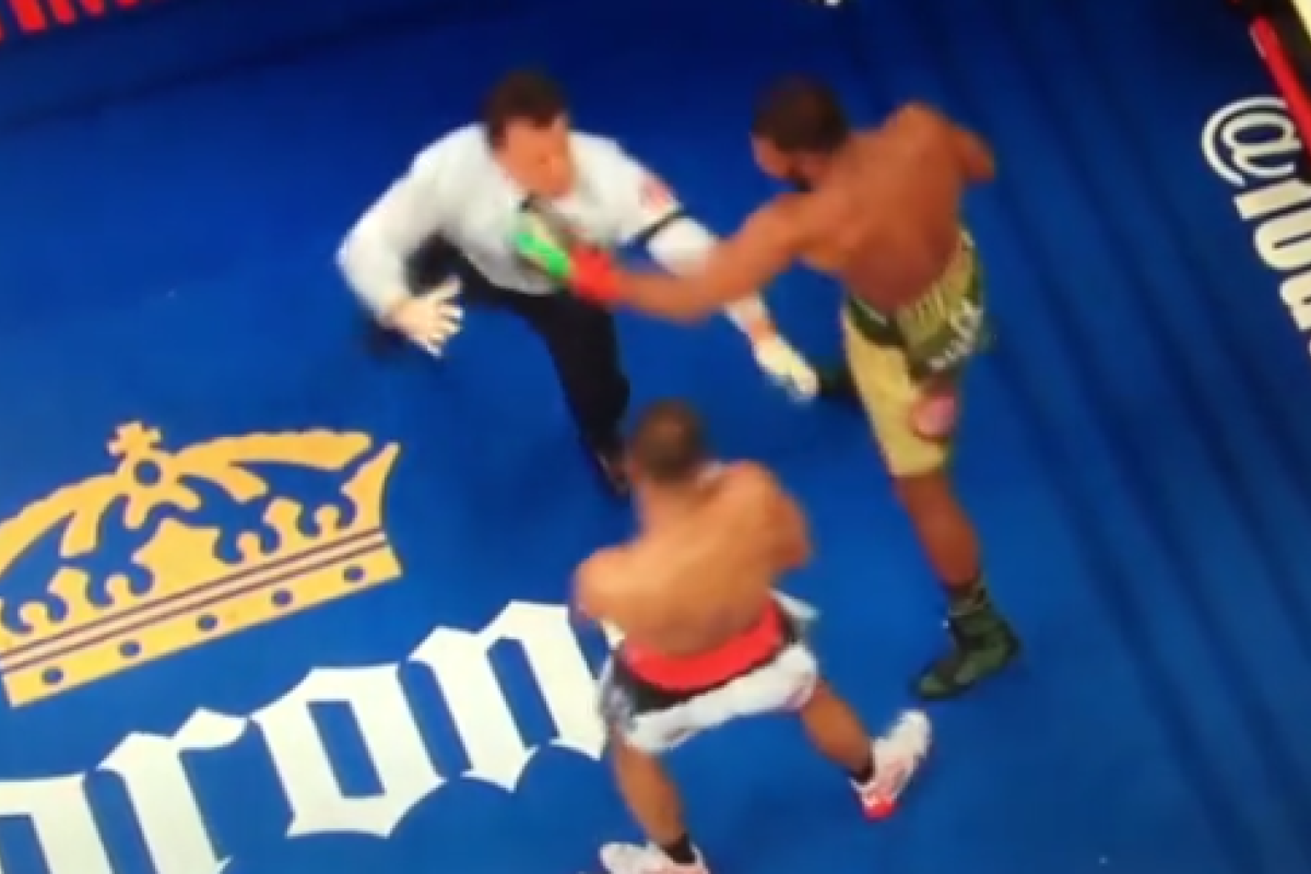 Шведский боксер отправил рефери в нокдаун во время титульного поединка Шведский боксер отправил рефери в нокдаун во время титульного поединка