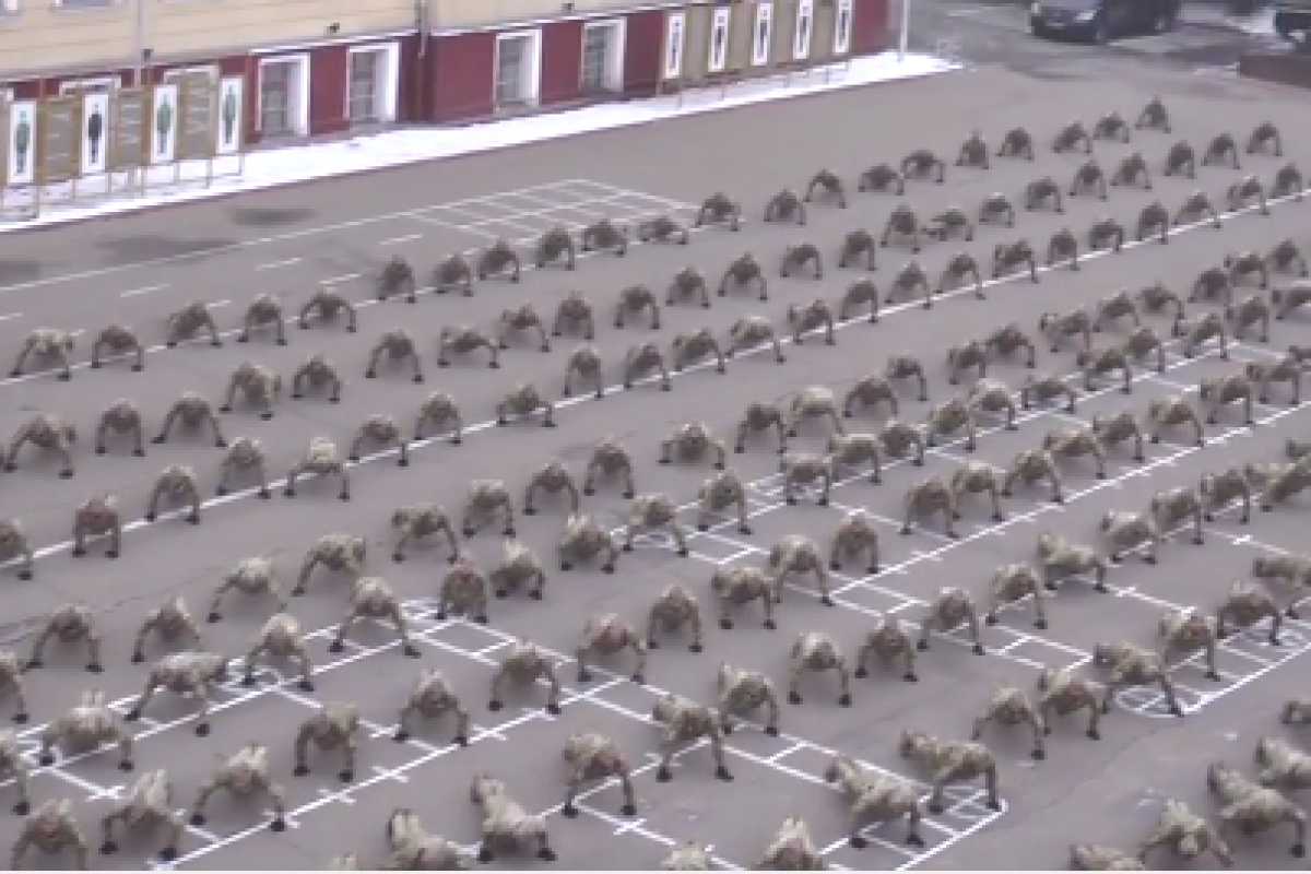 Украинские курсанты и офицеры установили рекорд: сразу 700 бойцов приняли участие в #22PushupChallenge