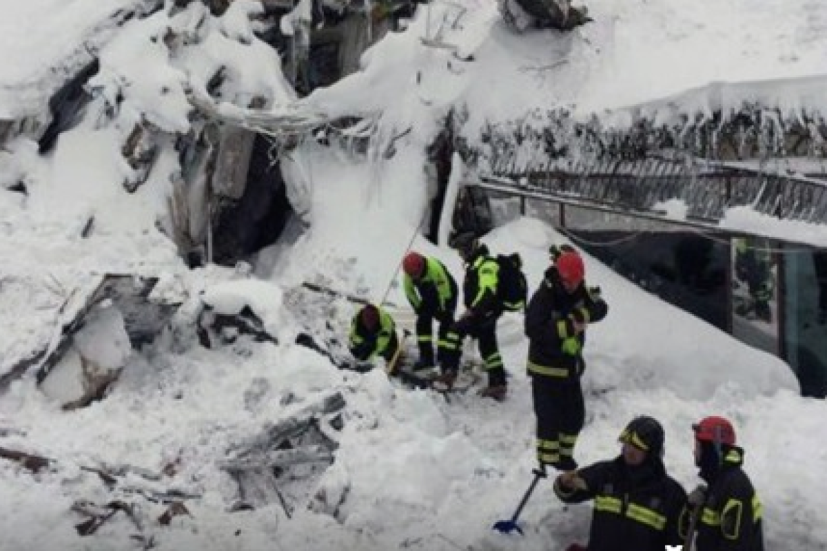 Из попавшего под лавину итальянского отеля спасли трех щенков