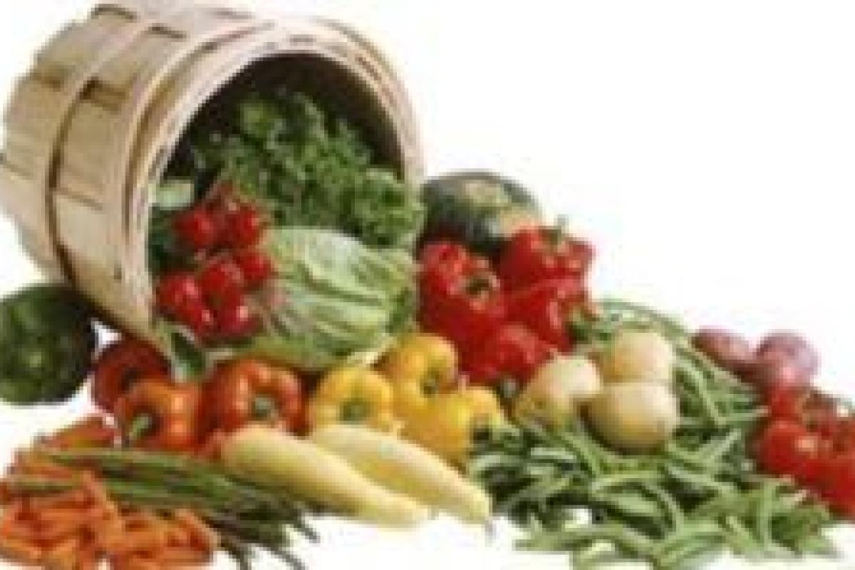 Как вегетарианство вредит человеческому мозгу - ученые