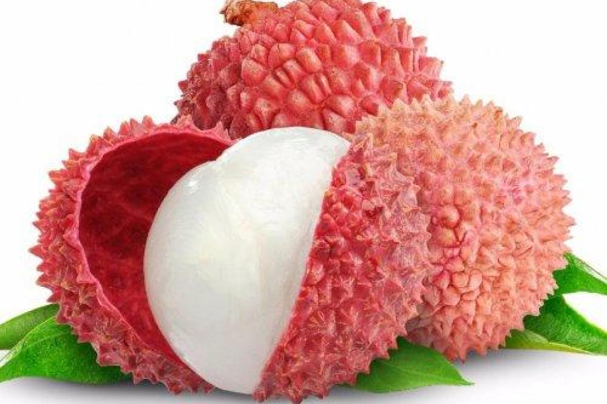 Ученые установили фрукт, из-за которого в индийском городе каждое лето умирают дети