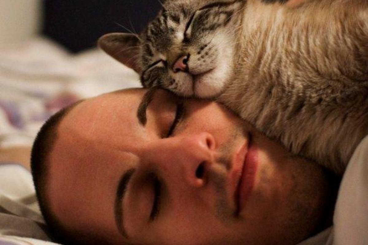 Специалисты назвали простые способы навсегда избавиться от бессонницы Специалисты назвали простые способы навсегда избавиться от бессонницы