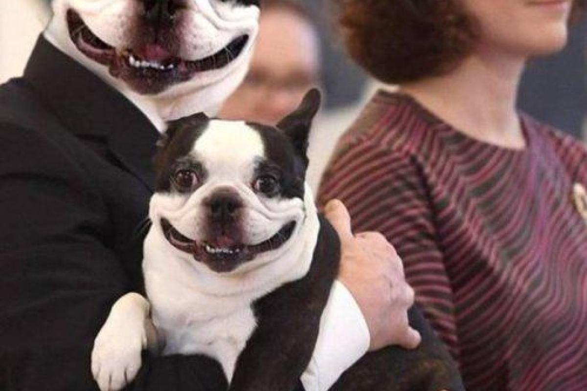 Улыбающийся пес президента Финляндии покорил интернет-пользователей Улыбающийся пес президента Финляндии покорил интернет-пользователей