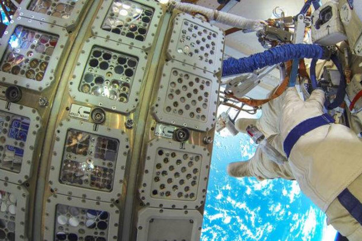 Что может выжить в открытом космосе больше года: ученые поражены