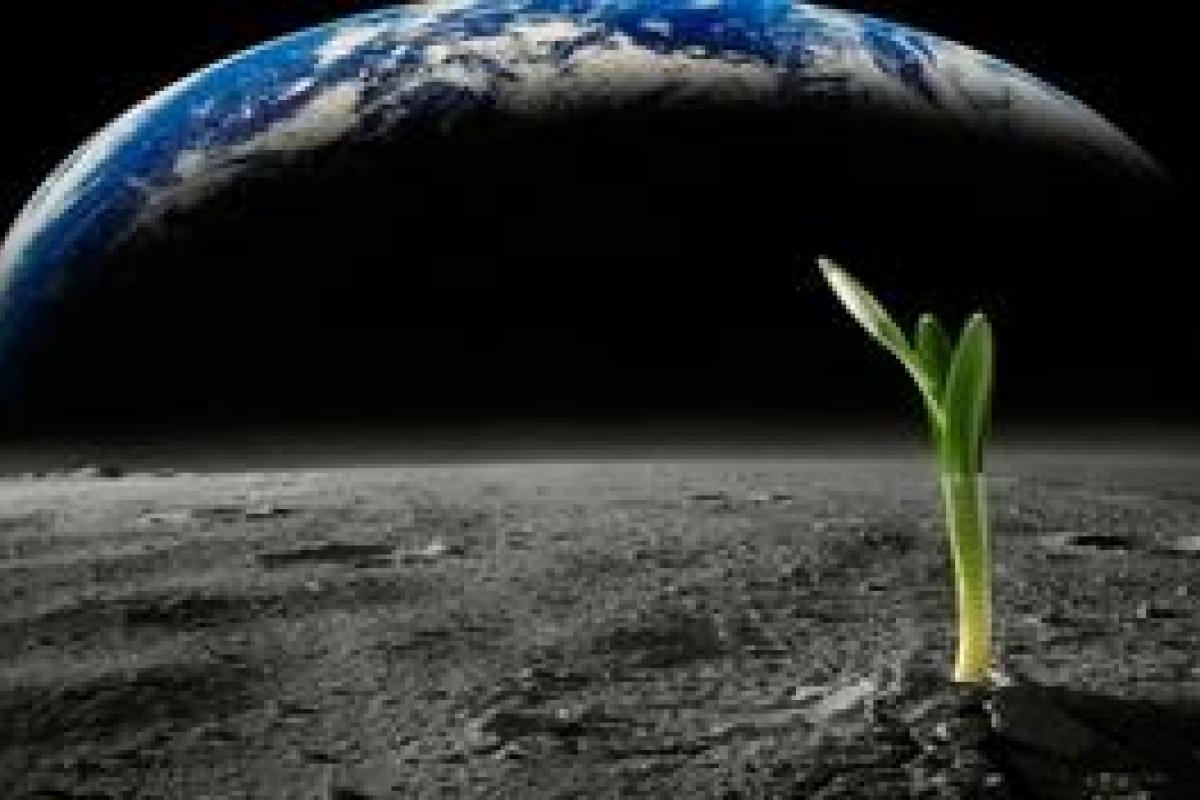 Стало известно, когда планируют найти внеземную жизнь на ледяной луне Юпитера Стало известно, когда планируют найти внеземную жизнь на ледяной луне Юпитера