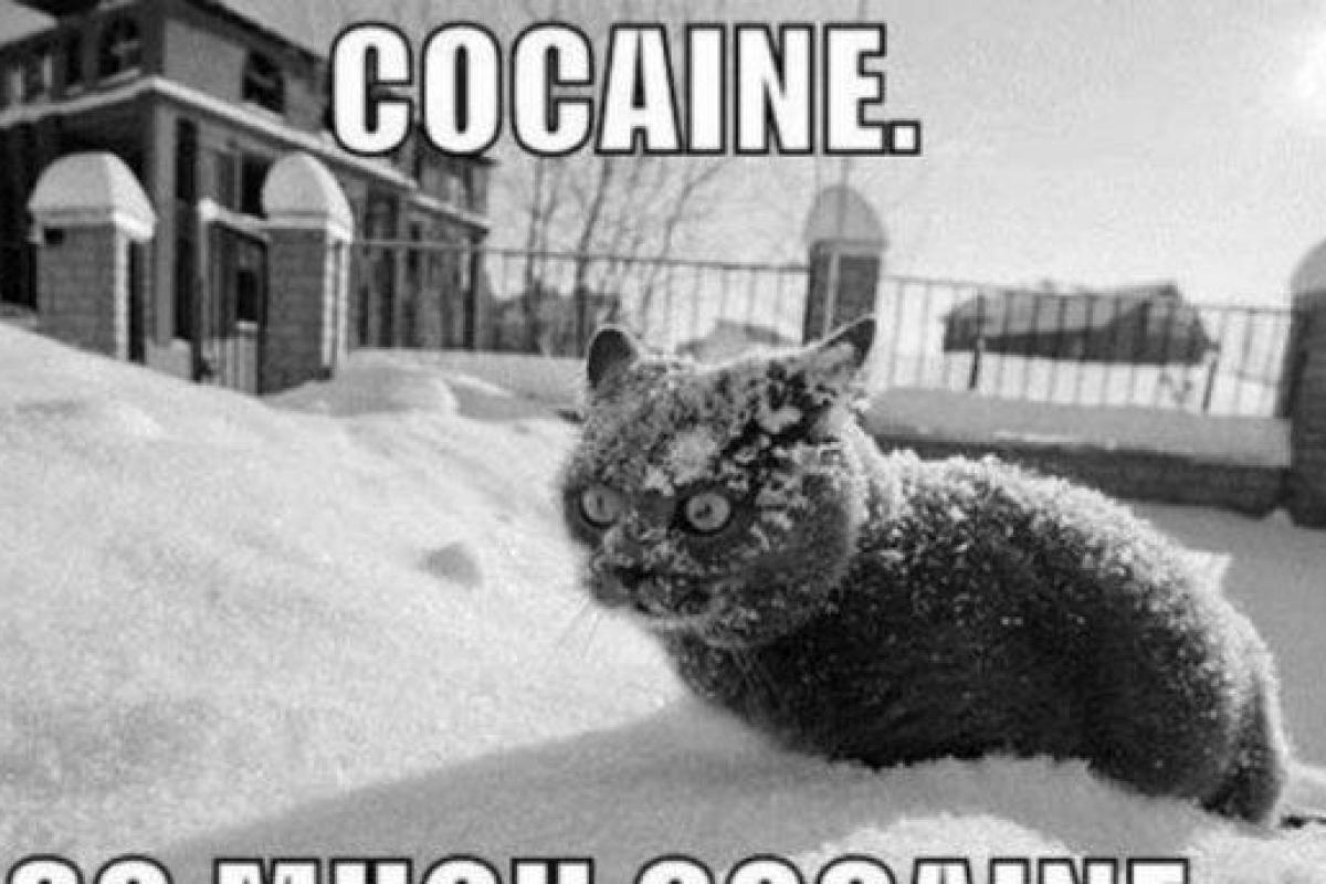 В Великобритании морские волны вынесли на берег 360 кг кокаина В Великобритании морские волны вынесли на берег 360 кг кокаина