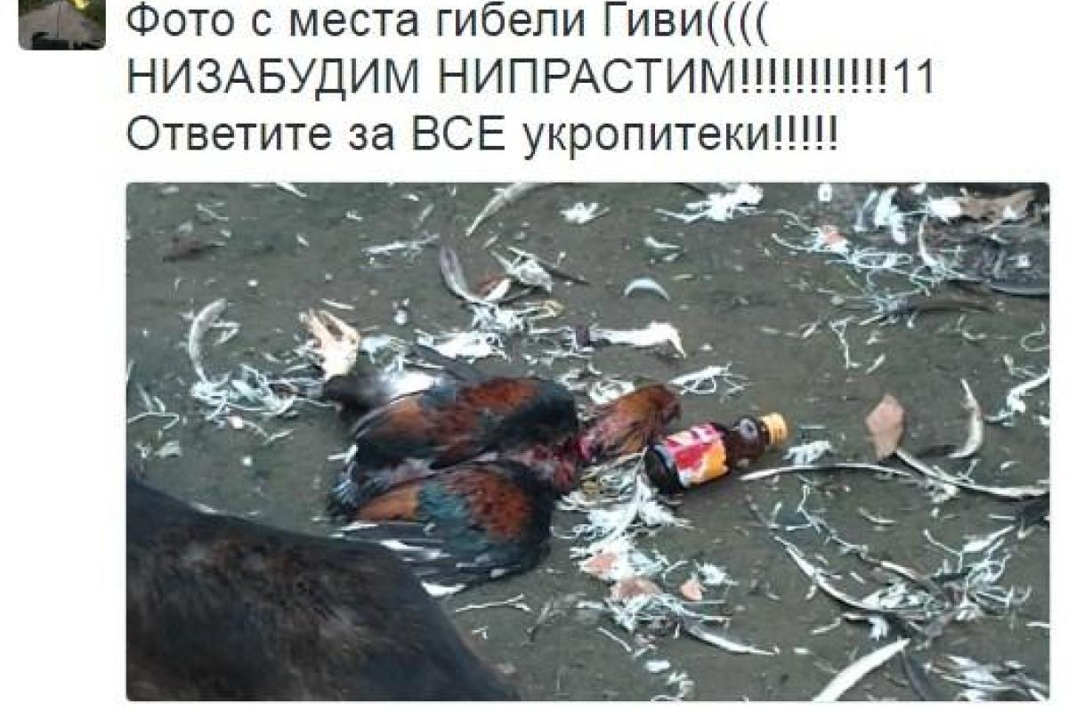 Соцсети захлестнула волна "черных" шуток в связи со смертью террориста Гиви