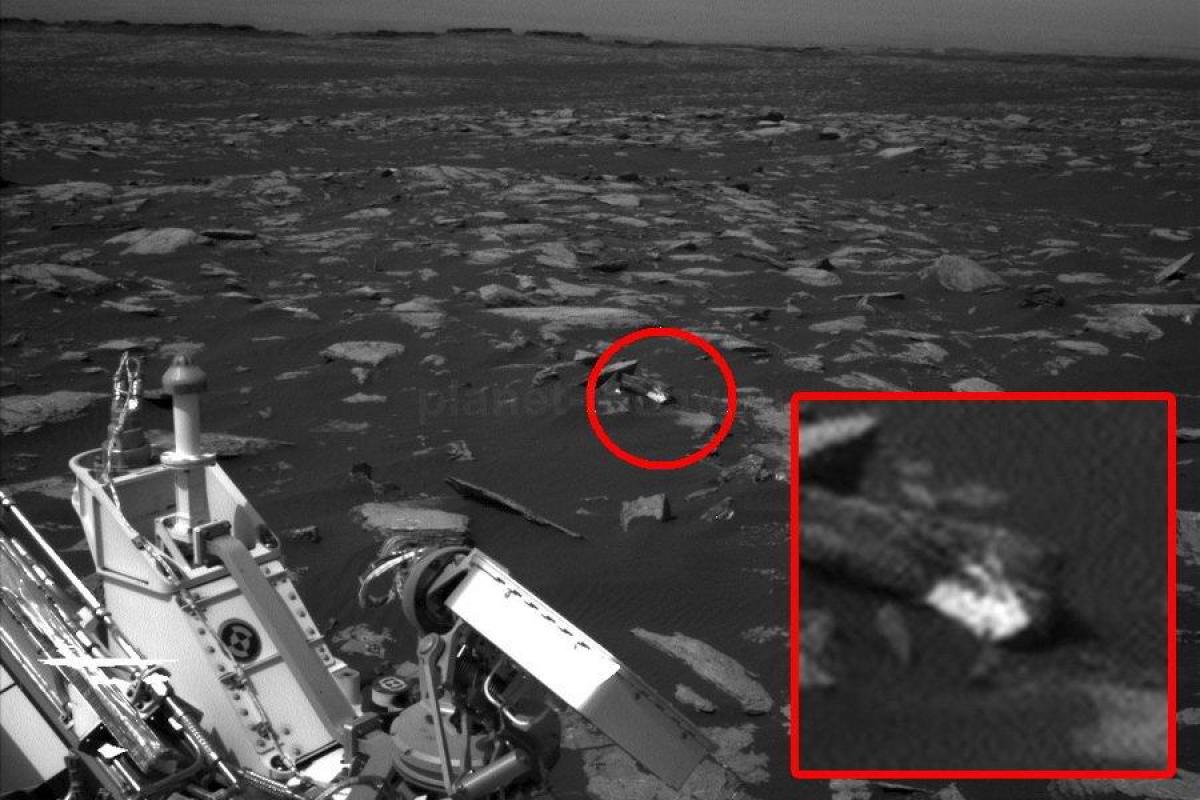 Уфологи обнаружили на Марсе белого кролика