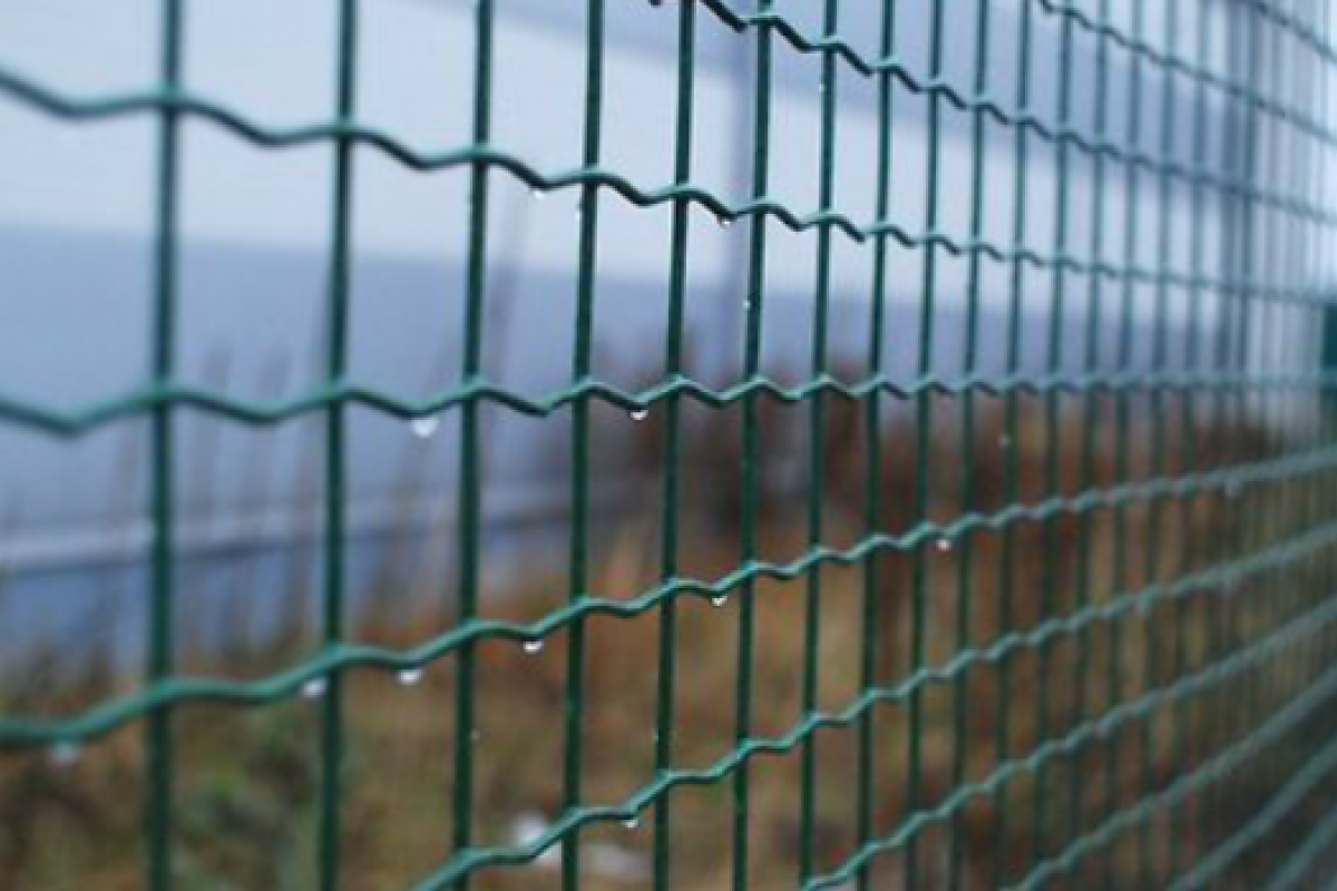 Латвия отгораживается от России: уже построено 23 километра забора