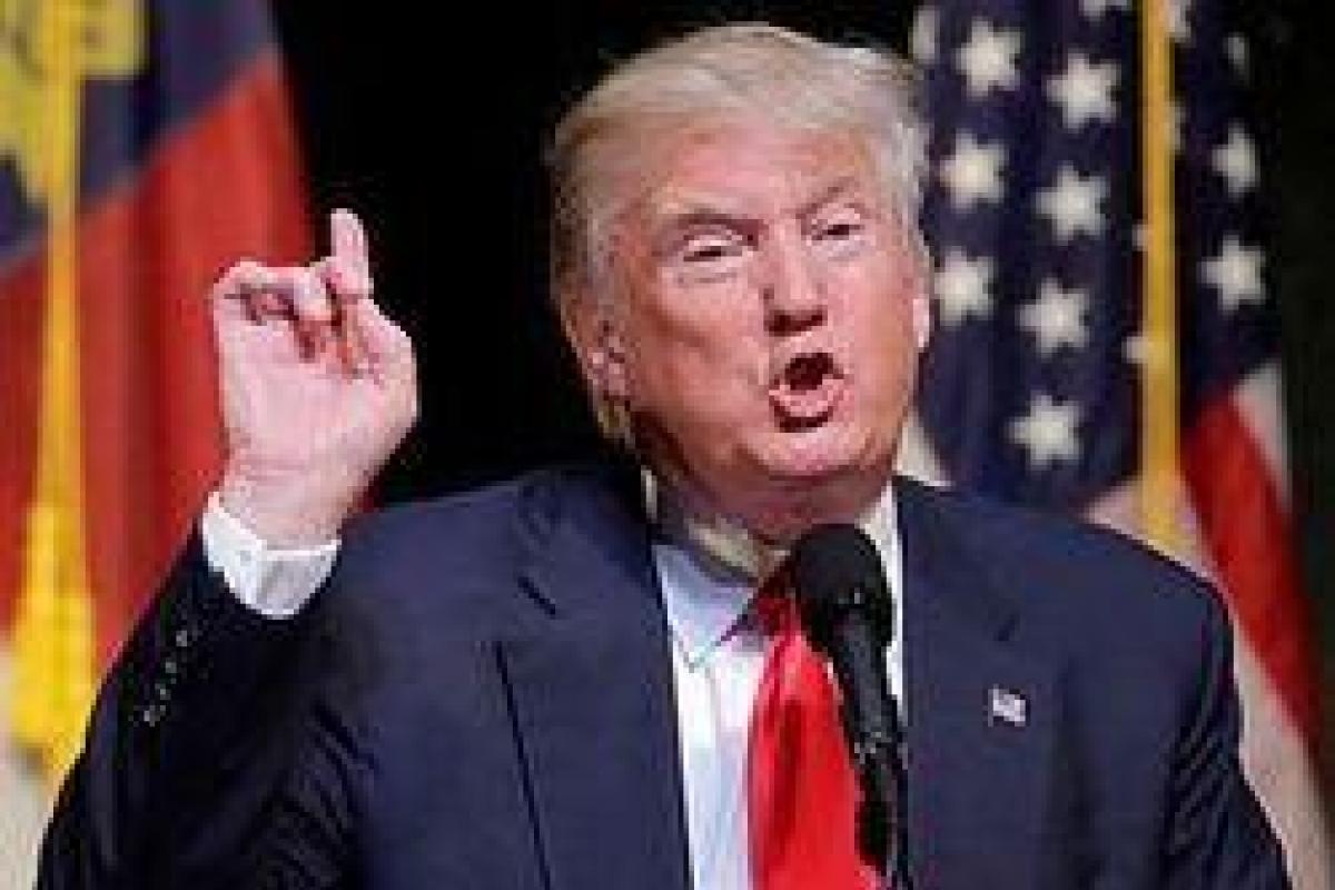 Дональд Трамп будет разбираться, что происходит в Донбассе Дональд Трамп будет разбираться, что происходит в Донбассе