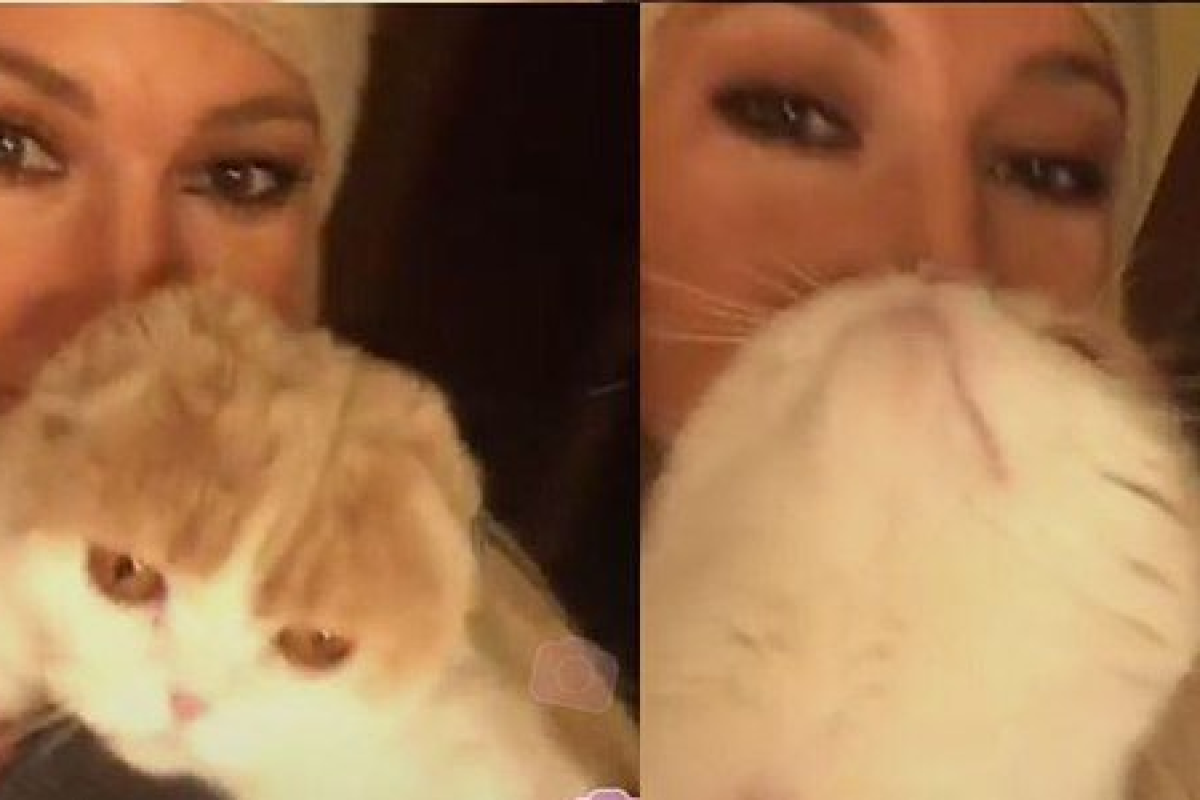 Леру Кудрявцеву заставил серьезно понервничать ее кот