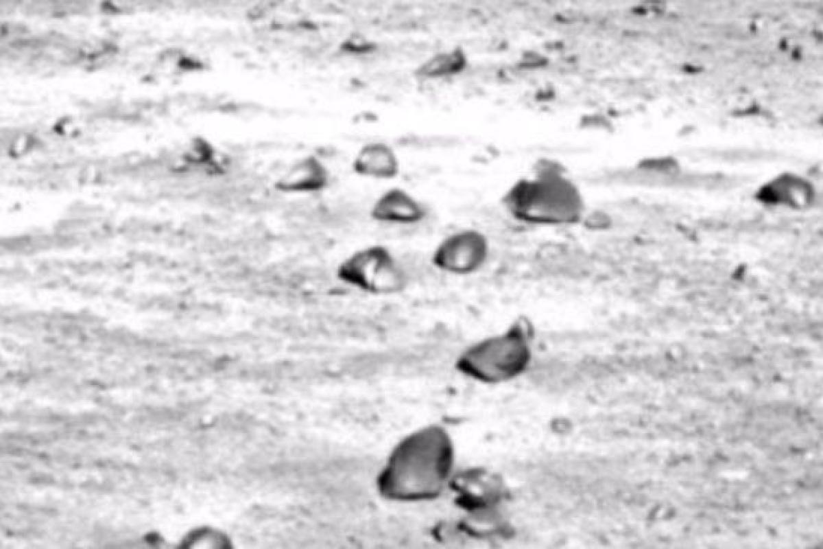 Ученые обнаружили улиток на Марсе: появилось видео