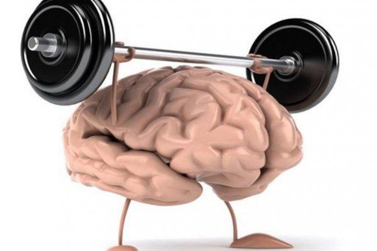 Специалисты нашли необычный способ тренировки памяти Специалисты нашли необычный способ тренировки памяти