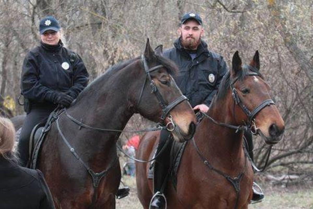 В Киеве лошадь из конной полиции сбила женщину