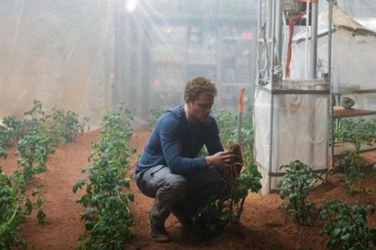 Ученые NASA научились выращивать картофель на Марсе