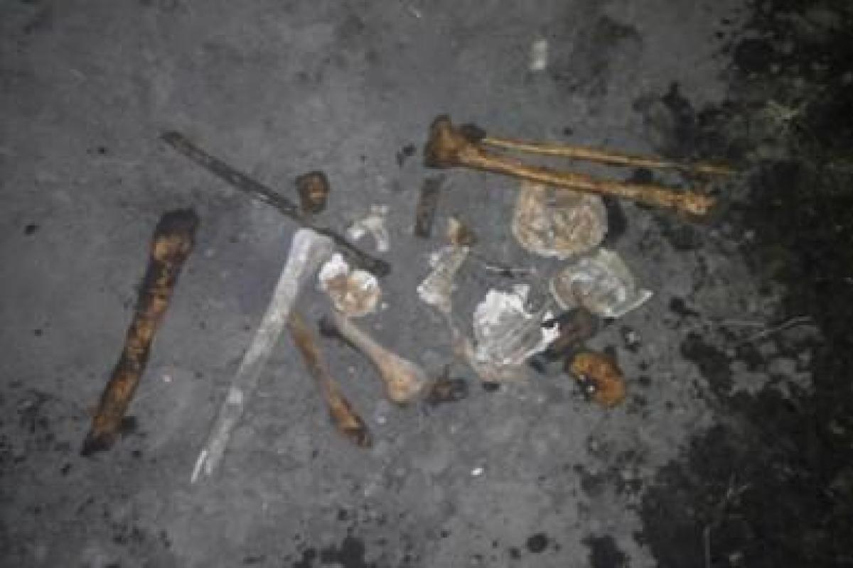 В Николаевской области на поле рабочие нашли человеческие останки В Николаевской области на поле рабочие нашли человеческие останки