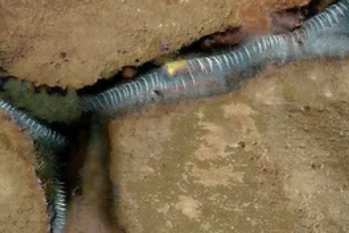 Ученые узнали, кто может обитать в недрах Красной планеты