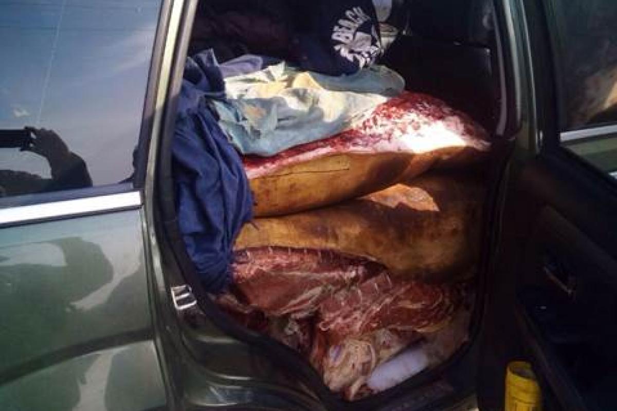 Боевики с удовольствием уплетают "зараженное чумой украинское мясо", которое забирают у людей