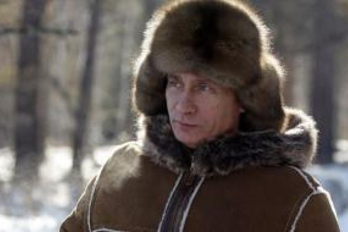 Соцсети смеются на Путиным, который решил переночевать в тайге Соцсети смеются на Путиным, который решил переночевать в тайге
