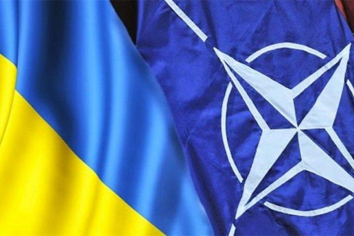 Рада призвала США дать Украине статус основного союзника вне НАТО - Пономарь Рада призвала США дать Украине статус основного союзника вне НАТО - Пономарь