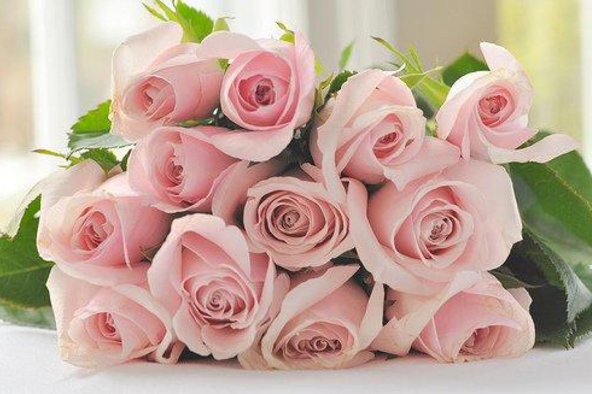 Воры-романтики обчистили цветочный магазин в Риге: унесли исключительно розы Воры-романтики обчистили цветочный магазин в Риге: унесли исключительно розы