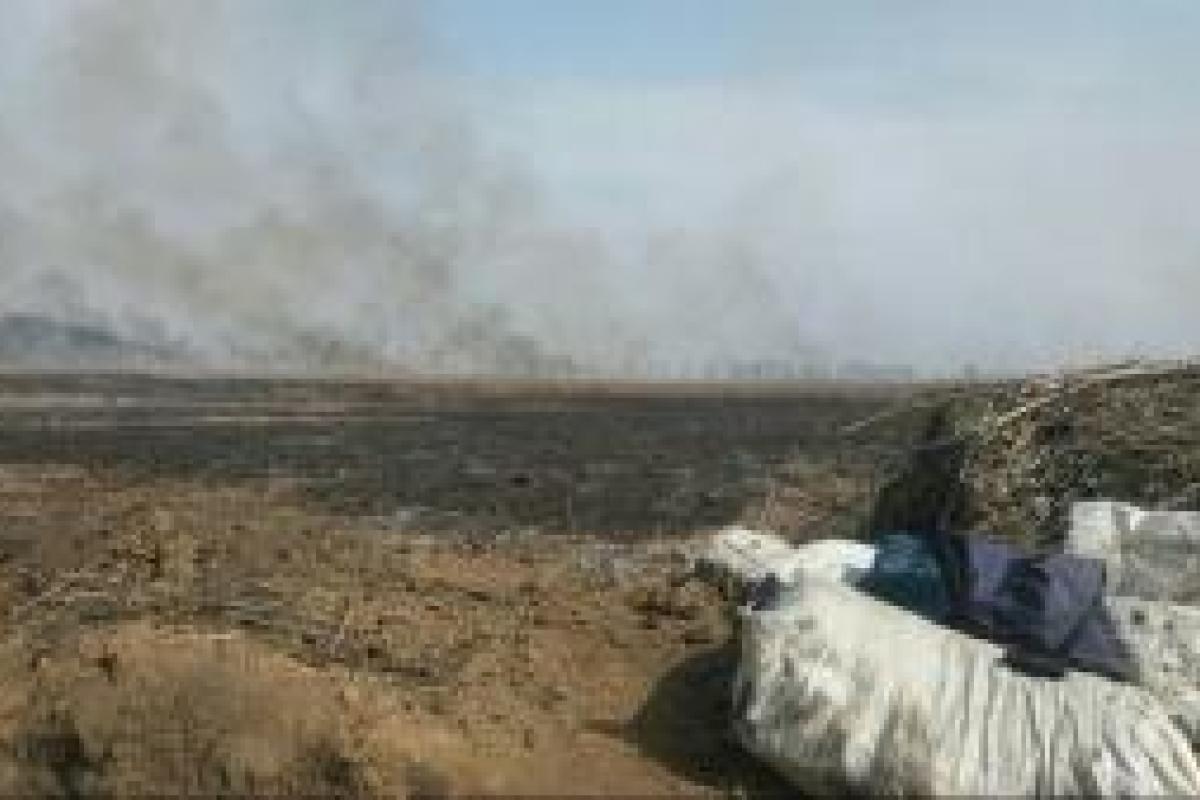 Под Мариуполем идут бои: у боевиков паника и потери, а у морпехов наметилась интересная динамика, - волонтер