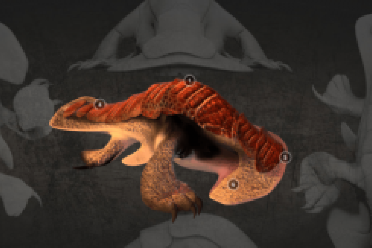 Ученые составили фоторобот внешности пришельцев Ученые составили фоторобот внешности пришельцев