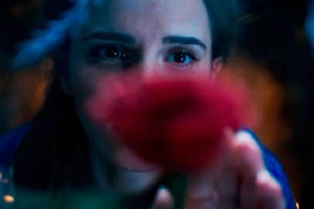 Стало известно имя самой богатой актрисы Голливуда Стало известно имя самой богатой актрисы Голливуда