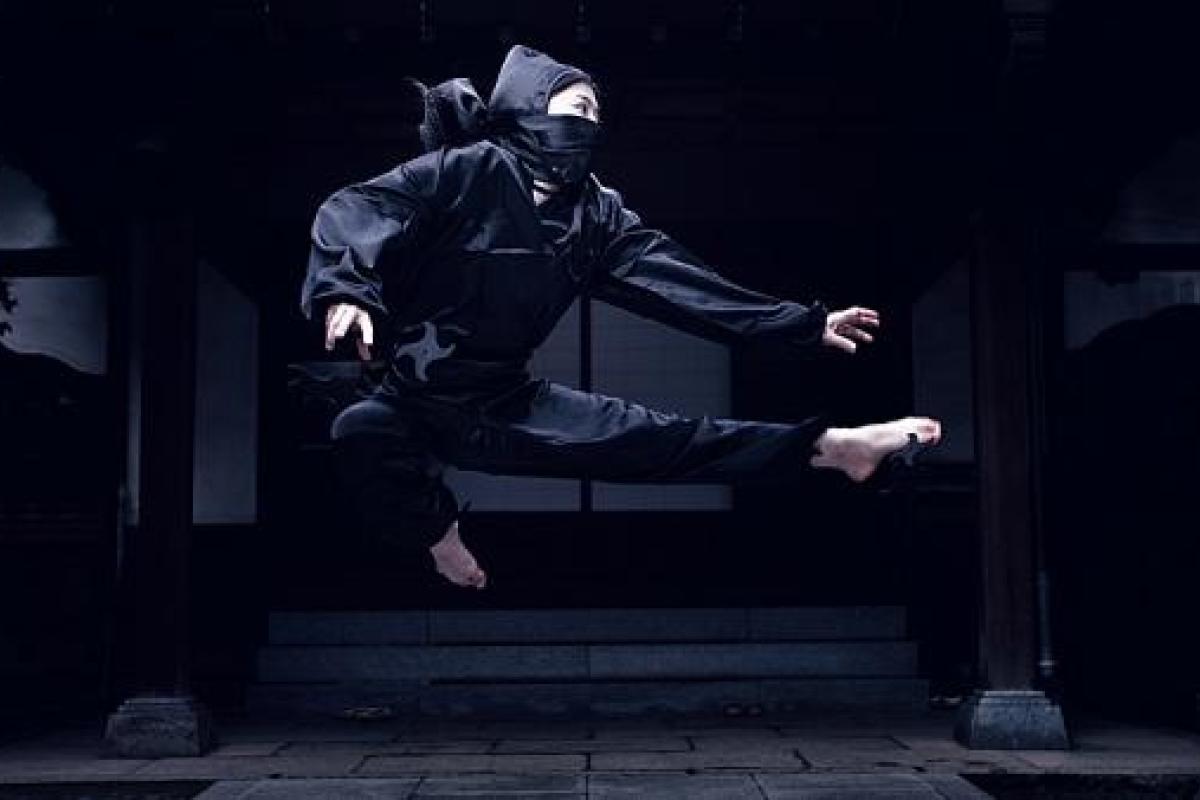 В Японии решили привлекать туристов с помощью культуры ниндзя В Японии решили привлекать туристов с помощью культуры ниндзя