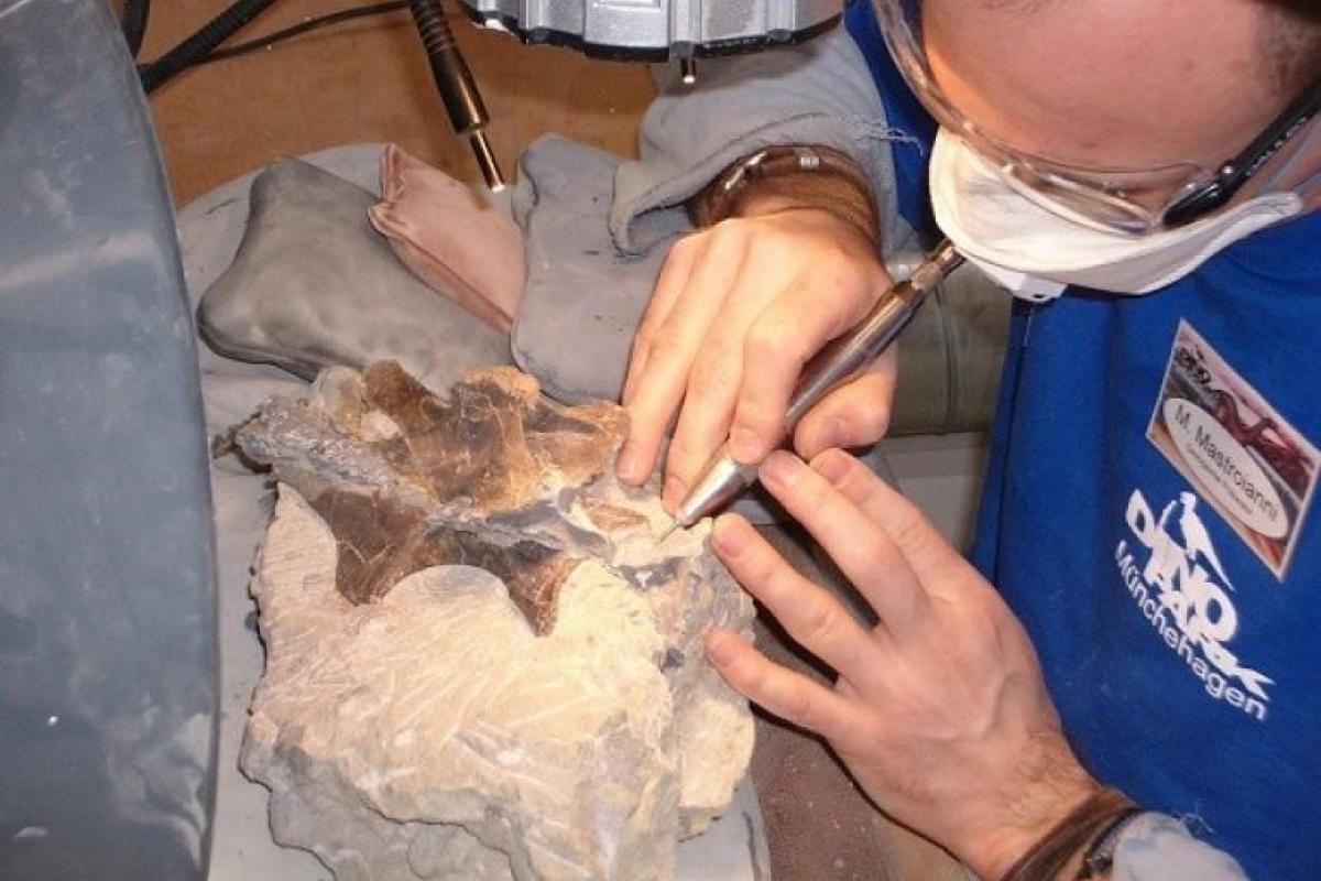 В Китае ученые обнаружили останки неизвестного человеческого вида В Китае ученые обнаружили останки неизвестного человеческого вида