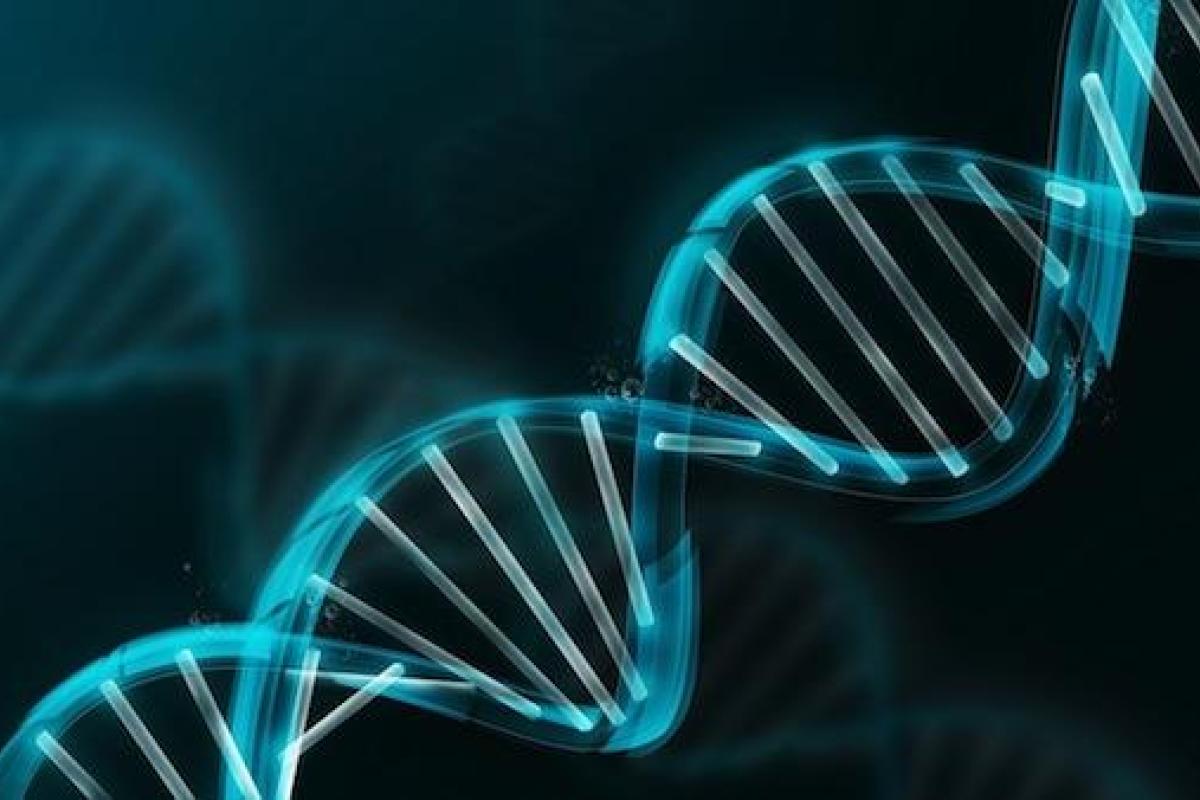 Ученым впервые удалось успешно геномодифицировать человека Ученым впервые удалось успешно геномодифицировать человека