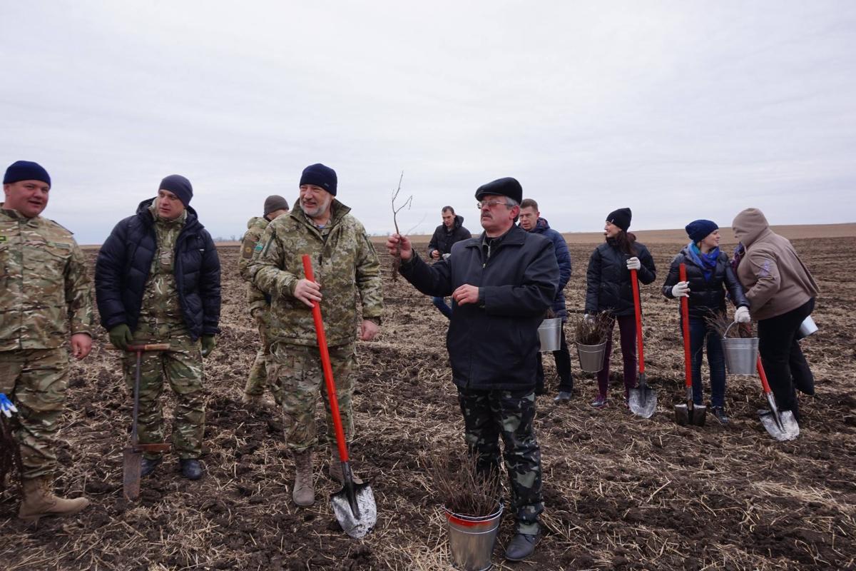 На месте ожесточенных боев за гору Карачун высадили дубовую рощу