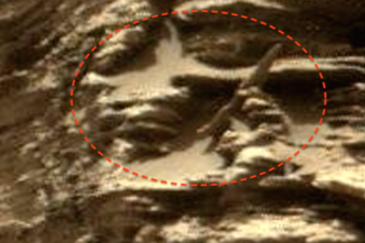 Марсоход третьего поколения заснял гигантскую руку на Марсе Марсоход третьего поколения заснял гигантскую руку на Марсе