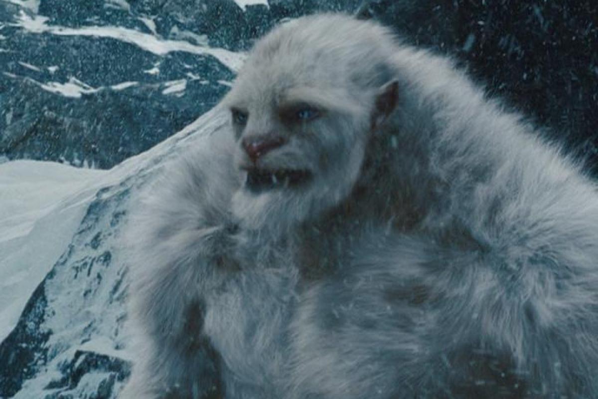 Канадские ученые обнаружили доказательства существования снежного человека Канадские ученые обнаружили доказательства существования снежного человека