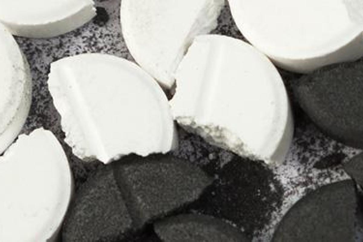 В Горловке «Стиролбиофарм» начало производство белого угля В Горловке «Стиролбиофарм» начало производство белого угля