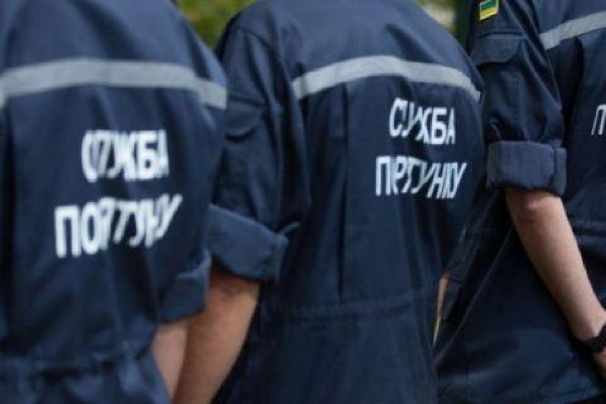 На Львовщине спасатели обнаружили опасные находки времен Второй мировой войны На Львовщине спасатели обнаружили опасные находки времен Второй мировой войны