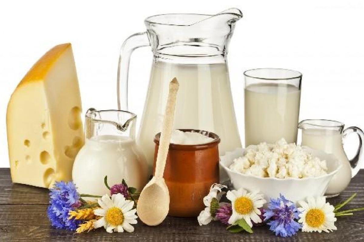 Ученые предупреждают: Отказ от молочных продуктов может спасти здоровье Ученые предупреждают: Отказ от молочных продуктов может спасти здоровье