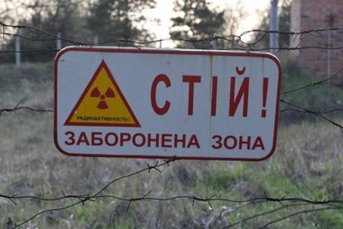 В Чернобыльском заповеднике более 400 видов различных животных В Чернобыльском заповеднике более 400 видов различных животных