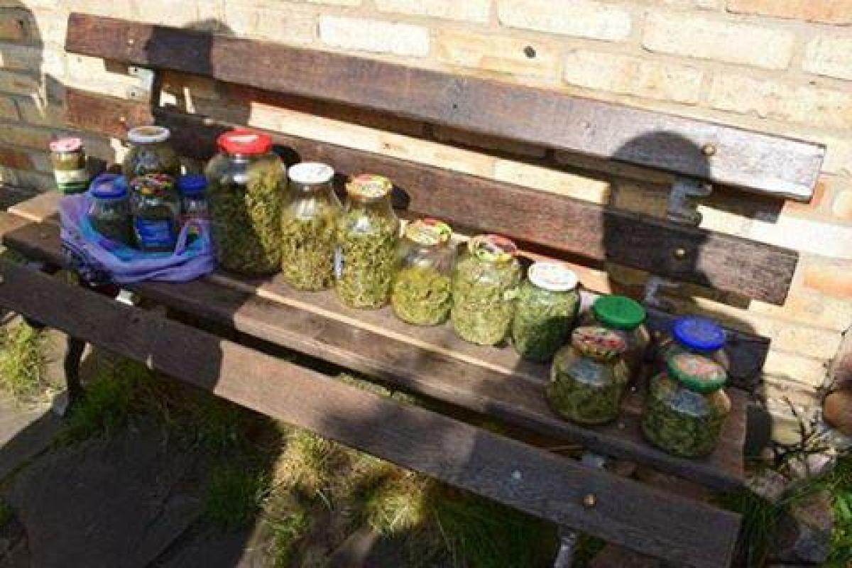 В Славянске полиция изъяла партию марихуаны стоимостью свыше 100 тысяч гривен В Славянске полиция изъяла партию марихуаны стоимостью свыше 100 тысяч гривен