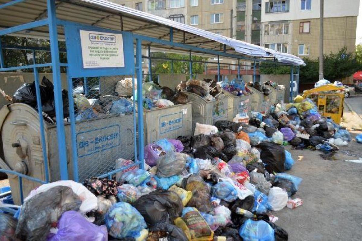 Год спустя после Грибовичской трагедии: Львов по-прежнему тонет в мусоре и кишит крысами