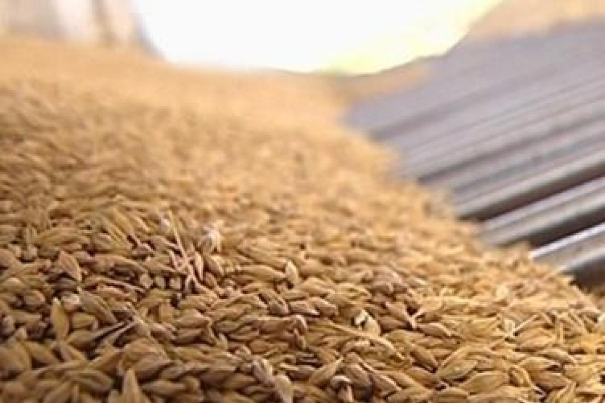 Украина экспортировала более 40 млн тонн зерна