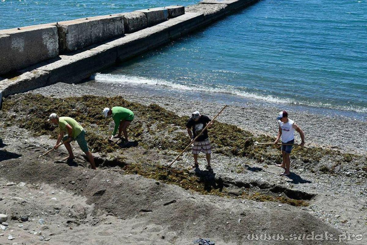 В Крыму пустые пляжи ждут туристов — с портретами Путина на заборах и сюрпризом под песком В Крыму пустые пляжи ждут туристов — с портретами Путина на заборах и сюрпризом под песком
