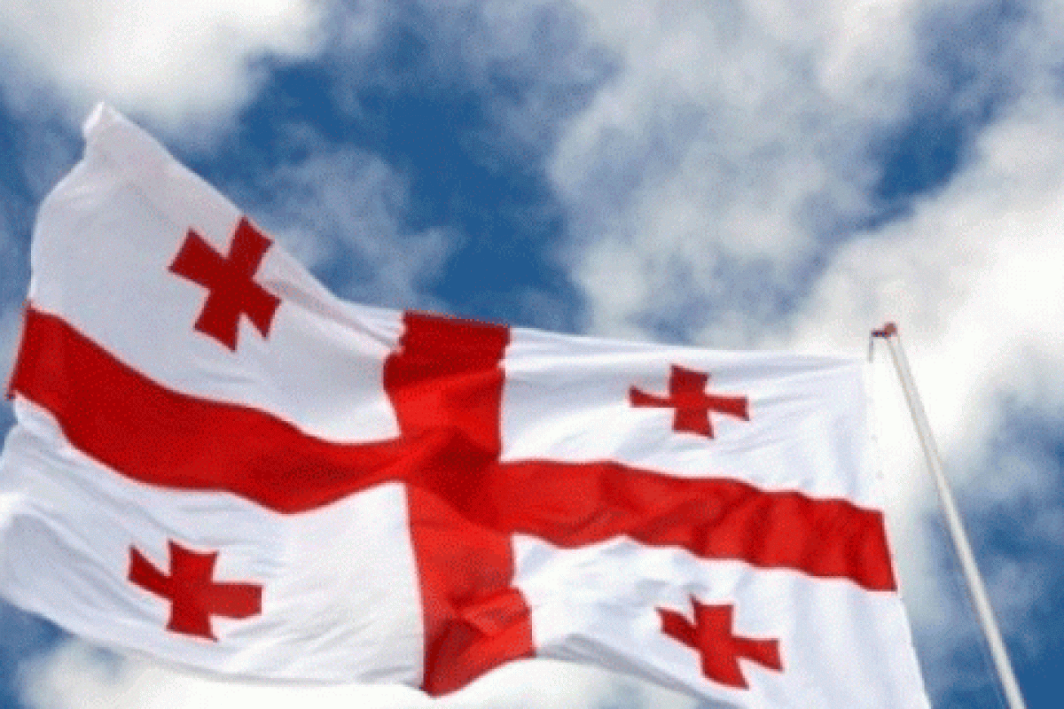 Президент Грузии попросил помощи в улучшении системы нацбезопасности у НАТО